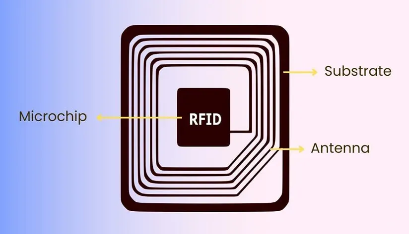 RFID Tag Materials Explained: A Complete Guide to Key Components and  Innovations - RFID Label